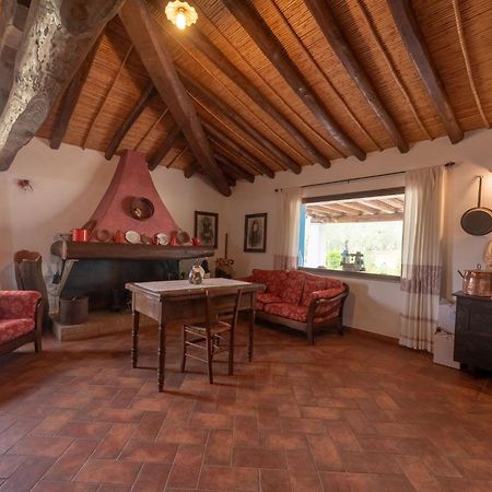 Tenuta Don Ballore Galtelli Luaran gambar