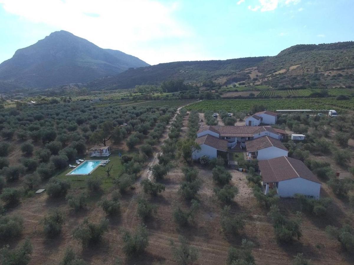 Tenuta Don Ballore Galtelli Luaran gambar