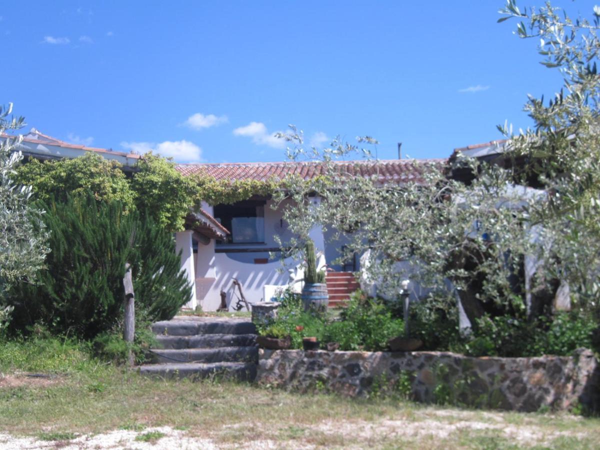 Tenuta Don Ballore Galtelli Luaran gambar