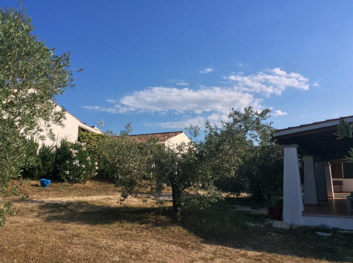 Tenuta Don Ballore Galtelli Luaran gambar