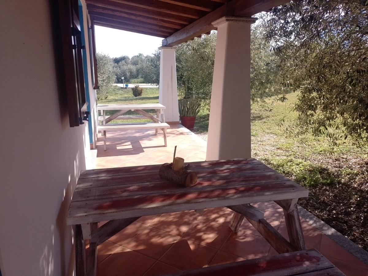 Tenuta Don Ballore Galtelli Luaran gambar