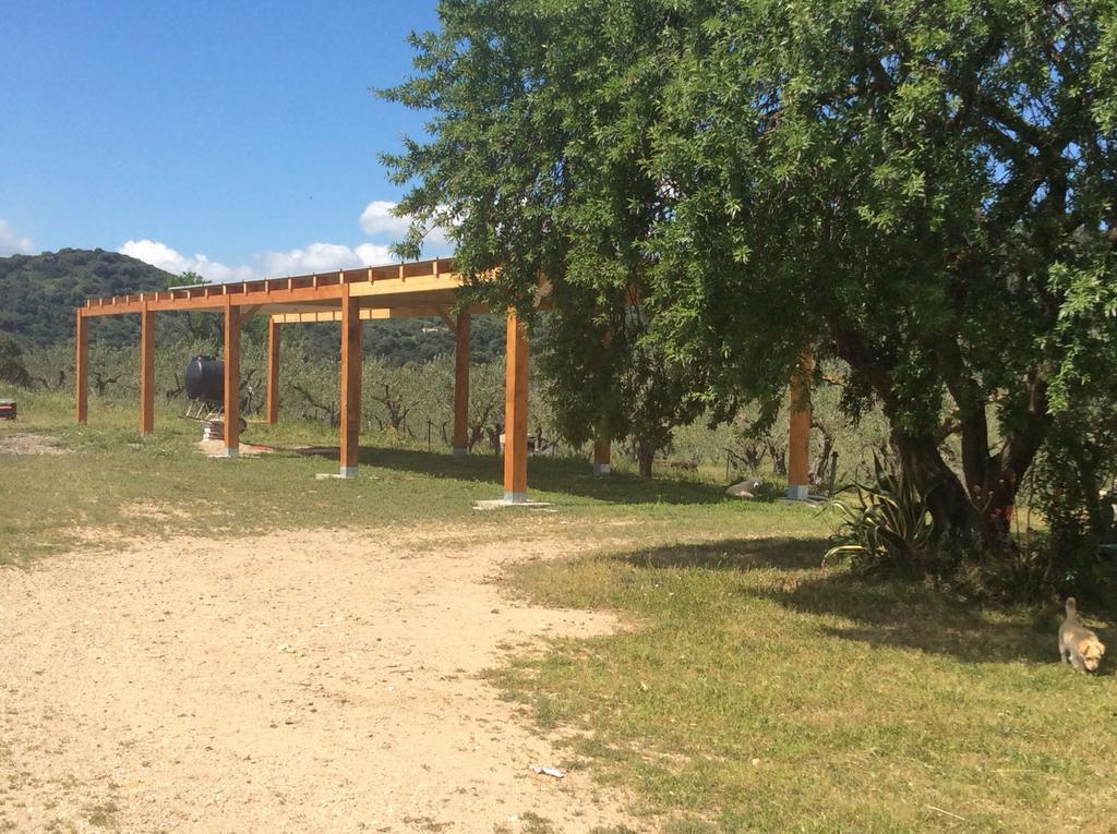Tenuta Don Ballore Galtelli Luaran gambar