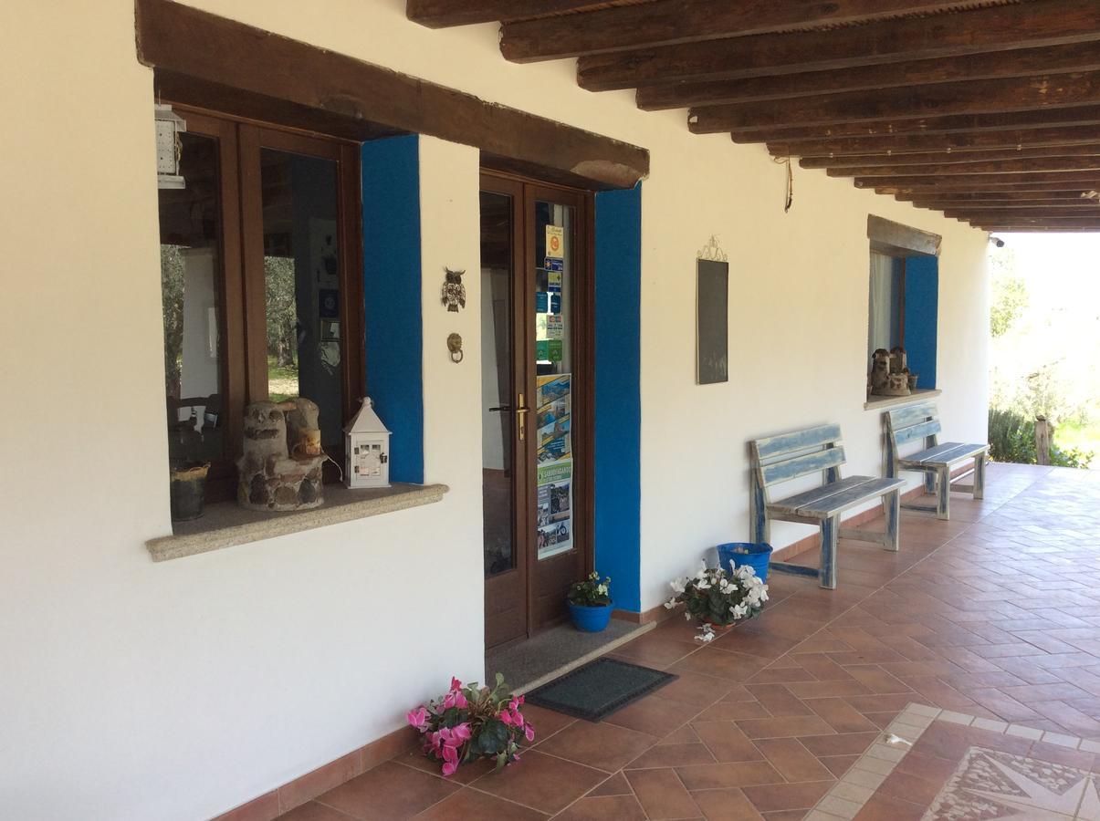 Tenuta Don Ballore Galtelli Luaran gambar