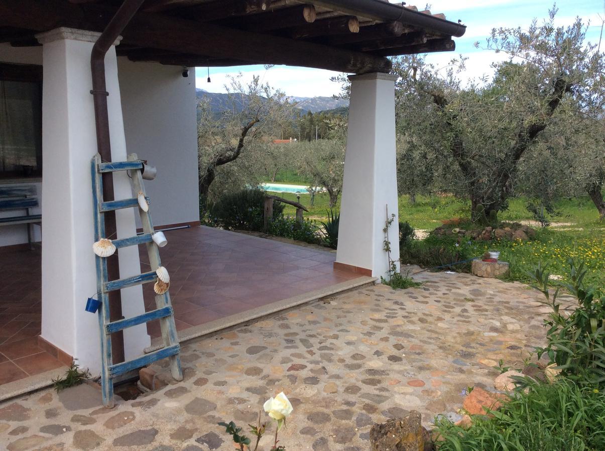 Tenuta Don Ballore Galtelli Luaran gambar
