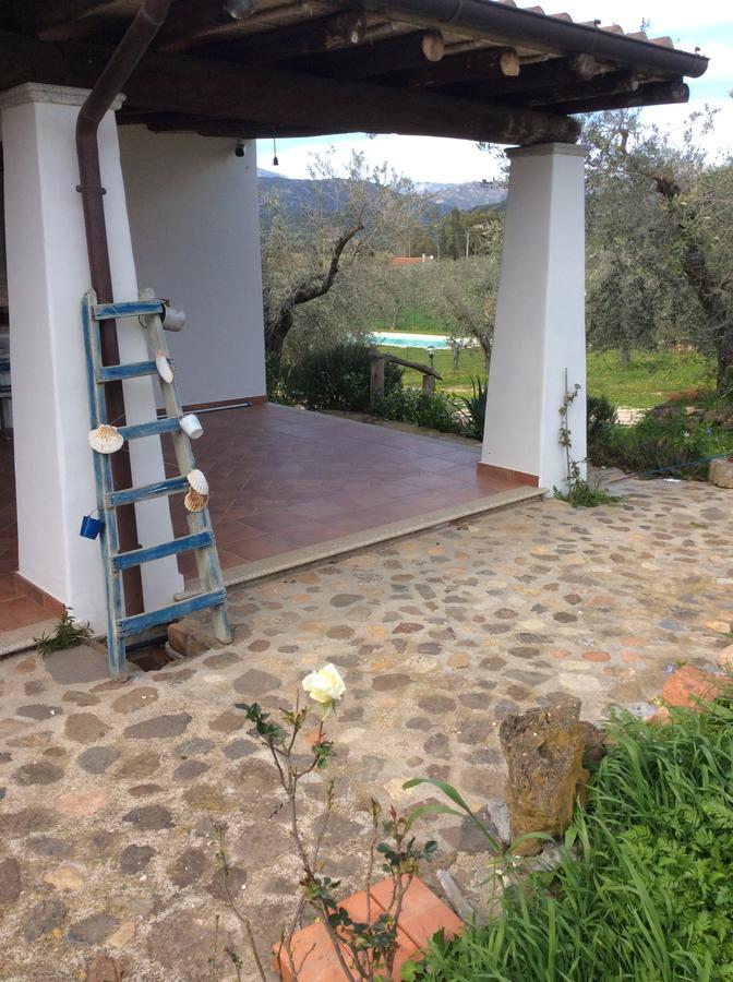Tenuta Don Ballore Galtelli Luaran gambar