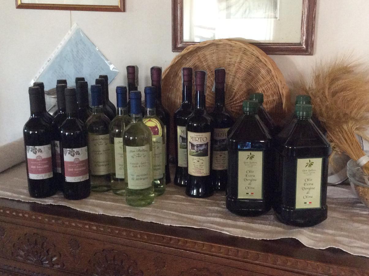 Tenuta Don Ballore Galtelli Luaran gambar
