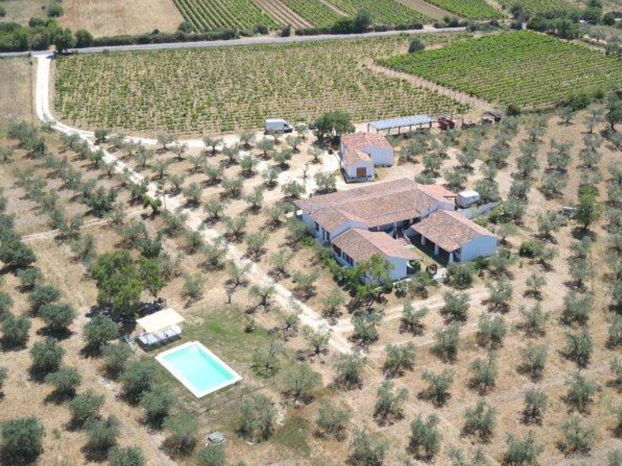 Tenuta Don Ballore Galtelli Luaran gambar